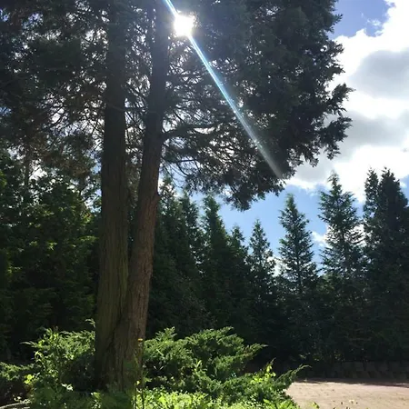 Pensionat Haus Tannenhof 3*