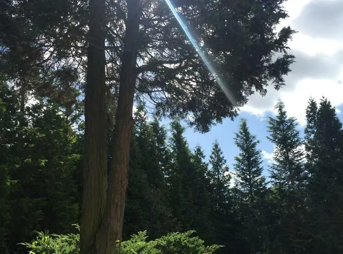 Maison d'hôtes Haus Tannenhof 3*